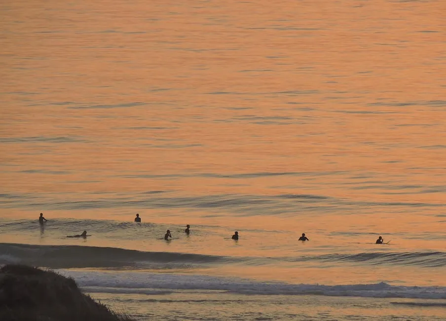 Celebrate America’s 250th Anniversary: D.C. Museums and Historic Sites Unveil Exciting Spring Events placeholder image